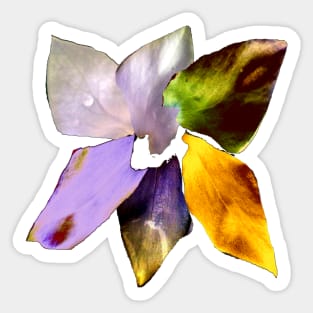 colored leaves Sticker